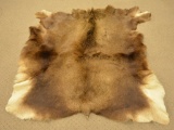 Beautiful Thick Moose Hide