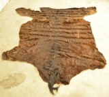 Dark Brown Horse Hide/Fur Rug