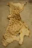 Vintage Fair Condition Giraffe Hide