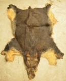 Wart Hog Hide