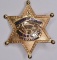 Obsolete Clark Co. Nevada Airport Security Badge