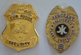 Lot Of Obsolete Security Badges