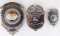 Lot Of 3 Obsolete Porter County Indiana Badges
