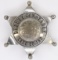 Vintage Obsolete Lake Co. Deputy Constable Badge