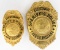 Obsolete Lake Co. Sheriff's Police Lt. Badge Set