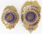 Obsolete Lake Co. Lt Deputy Sheriff Badge Set