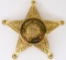 Obsolete Henry Co. Ind. Chief Deputy Badge