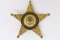Obsolete Delaware Co. Indiana Sheriff Badge