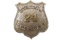 Obsolete Greenwood Indiana Police Badge #24