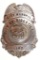 Obsolete Ridgeville Indiana City Marshal Badge