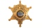 Obsolete Shelby County TN. Deputy Sheriff Badge