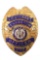 Obsolete Evanston Wyoming Police Lieutenant Badge