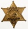 Obsolete Tazewell County IL Deputy Sheriff Badge