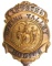 Obsolete Spring Valley NY Police Trustee Badge