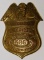 American Protective League Asst Chief Badge