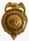 Obsolete Calcasieu Parish La. Deputy Sheriff Badge
