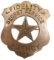 Obsolete Fidelity Secret Service Agency Badge