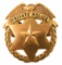 Obsolete Private Police Hat Badge