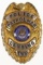 Obsolete Lansing Twp. MI Police Patrolman Badge