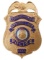 Obsolete Spring Lake MI Police Commissioner Badge