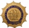 Named City Of New York Police Lieutenant Badge