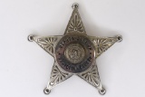 Obsolete Hamilton Co. Indiana Deputy Sheriff Badge