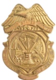 Obsolete US Army Military Police Badge