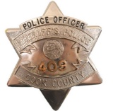 Cook County Deputy Sheriff Badge Pin 1" 