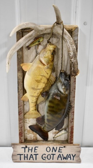 Taxidermy Rustic Shadow Box Fishing Display