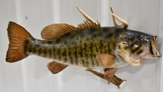 Full Body Trophy Small Mouth Bass Wall Mount