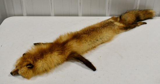 Full Body Taxidermy Soft Tanned Red Fox Rug