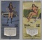 (2) Large 1970s PPG Pinup Girl Calendars