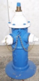 Restored Eddy Valve Co. Fire Hydrant
