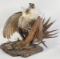 Ruffed Grouse Full Body Taxidermy Mount