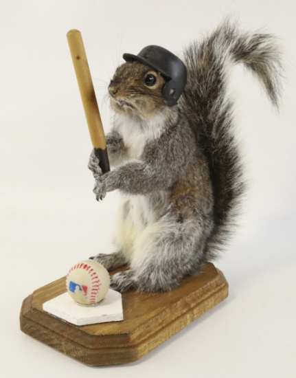 Full Body Grey Squirrel Baseball Taxidermy Mount