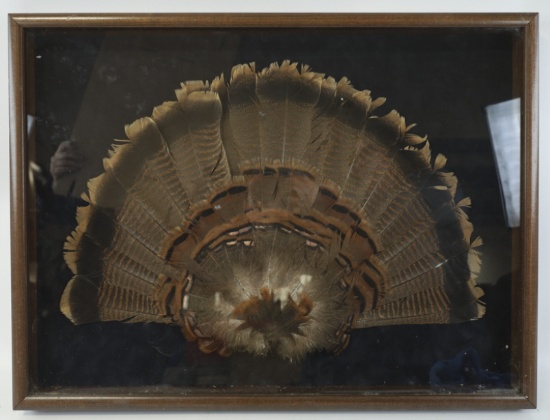 Turkey Feather Shadow Box Display