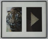 Genuine Tiger Fur In Frame