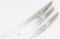 F.A. Porsche Type 301 Chroma Fillet Knife Set