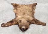 Vtg Brown Bear Skin Rug w/ Head & Paws