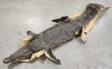 Crocodile Full Body Skin / Hide