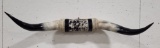 Black & White Bull Horns w/ Hide & Rope Wrap