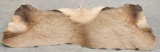 Large Soft Tanned Bull Elk Hide