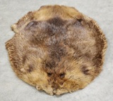 Vtg Soft Tanned Beaver Pelt