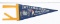Vintage Daytona International Speedway Pennant