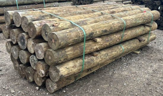 7Lx9"D Treated Posts, 24 Posts