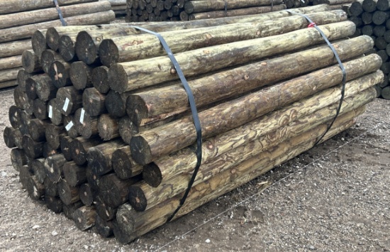 7Lx4"D Treated Posts, 60 Posts