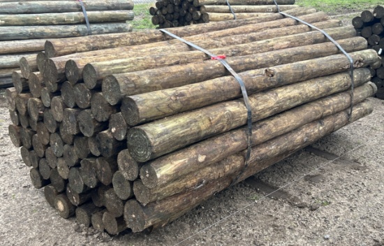 7Lx4"D Treated Posts, 60 Posts