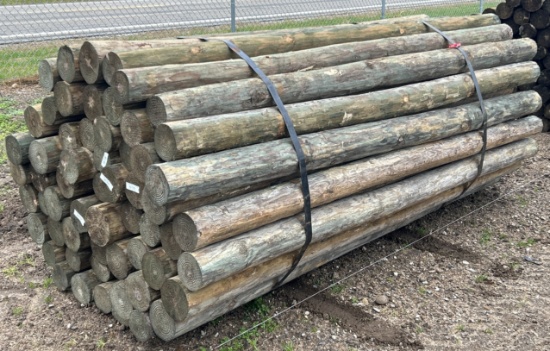 7Lx4"D Treated Posts, 60 Posts