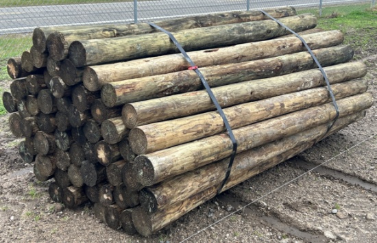7Lx4"D Treated Posts, 60 Posts