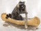 Rowing Raccoon Full Body Taxidermy in Birch Canoe
